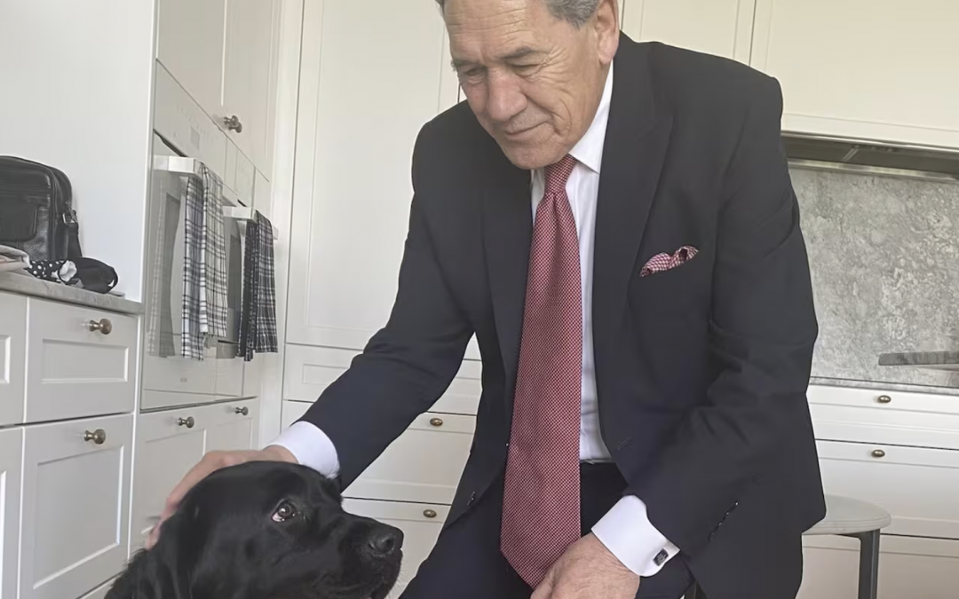 Protest at Winston Peters’ home shows how far debate has fallen